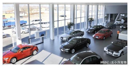 8200萬(wàn)汽車(chē)消費(fèi)券成功發(fā)放，汽車(chē)銷(xiāo)售行業(yè)或迎新爆發(fā)