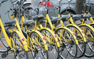 共享單車訂單潮席卷，自行車產業鏈迎來“第二春”